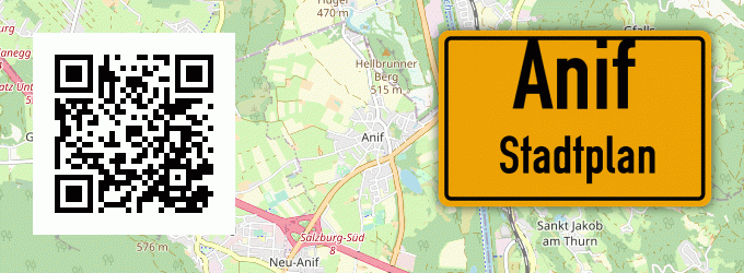 Stadtplan Anif