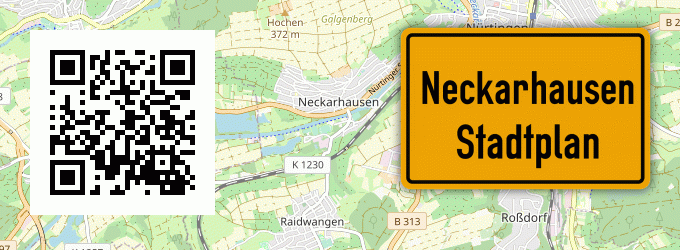 Stadtplan Neckarhausen
