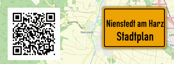 Stadtplan Nienstedt am Harz