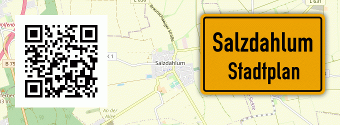 Stadtplan Salzdahlum