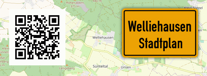 Stadtplan Welliehausen