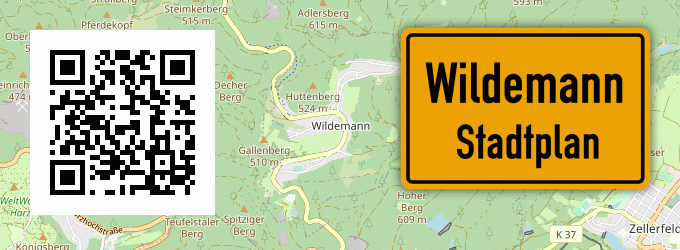 Stadtplan Wildemann