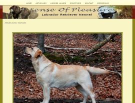 Foto von Vier Pfoten - Labrador und Border Terrier Welpenzucht - Hundepension und Zucht - Familie Korff - Porta Westfalica