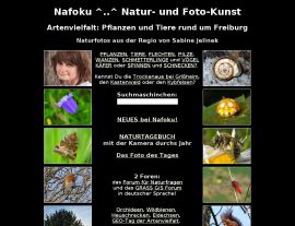 Foto von Homepage von Nafoku: Pflanzen und Tiere, Insekten, Spinnen, Libellen, Naturtagebuch
