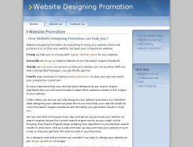 Foto von Website Promotion SEO Company Web promotion Services designing